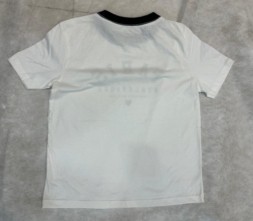 Camisa feminina paris